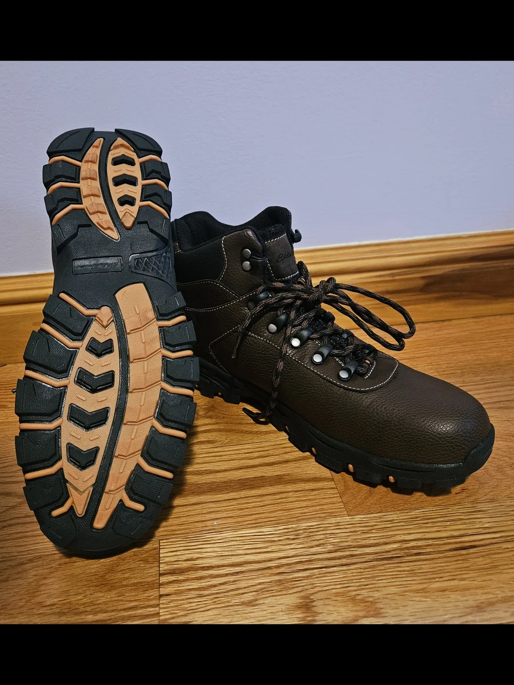 Eddie Bauer Brown Clarks's Men Hiking Boots